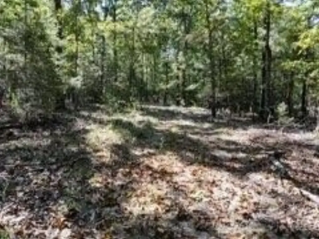 Picture 9