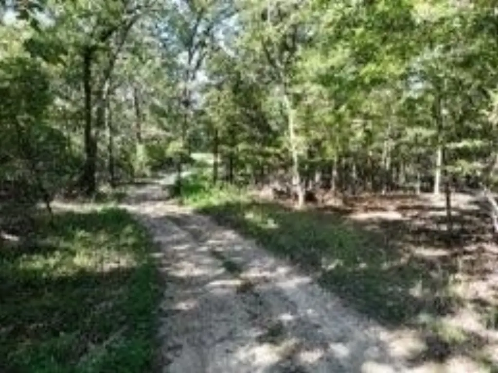 Picture 7