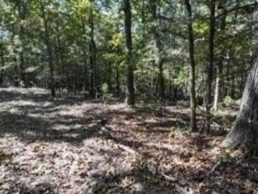 Picture 10