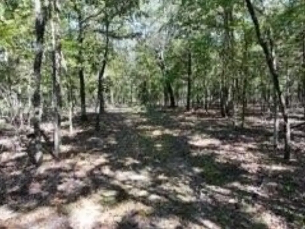 Picture 8
