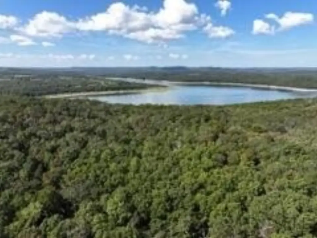 Picture 19