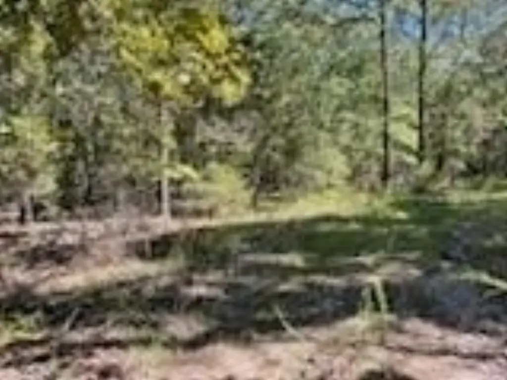 Picture 36