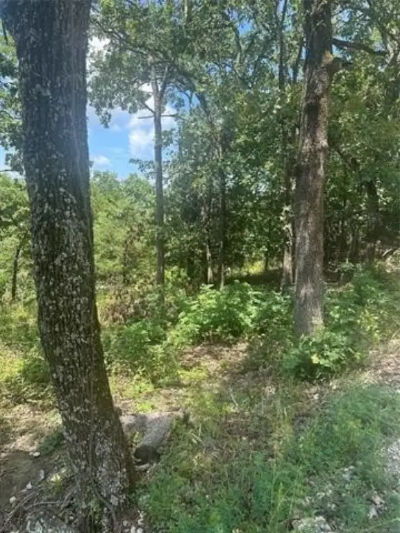 Picture 5