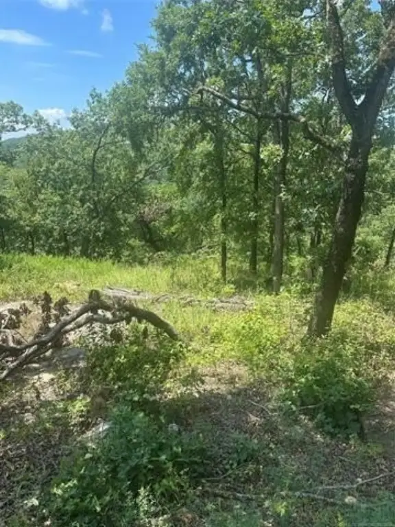 Picture 4
