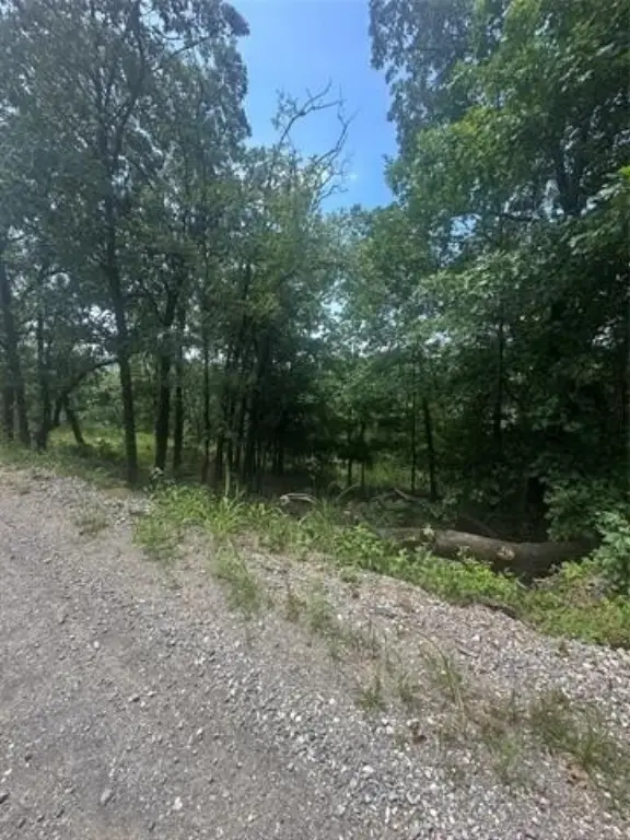 Picture 6