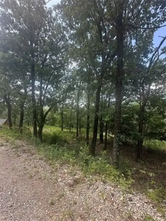 Picture 7