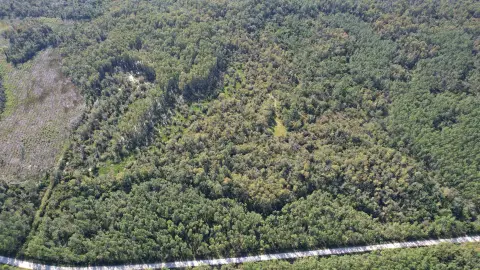 Hunting Land with Easement Access
