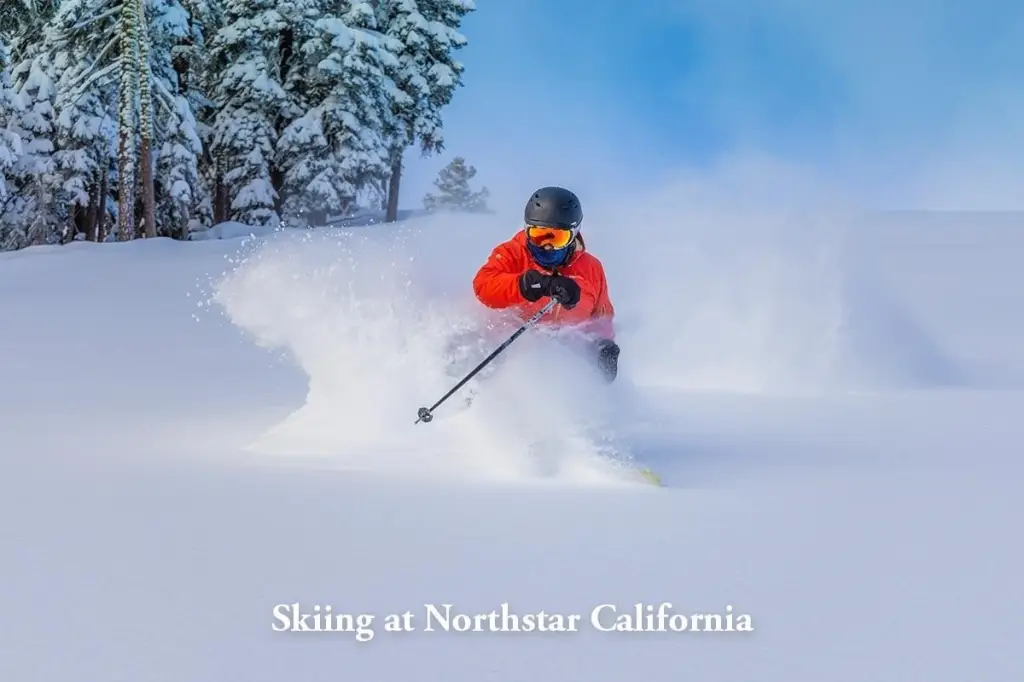 Picture 13