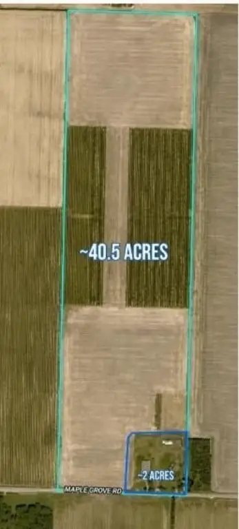 Picture 6