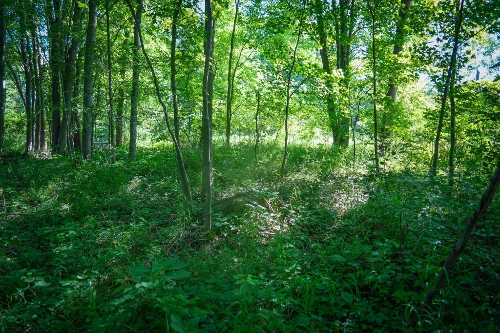 Picture 30