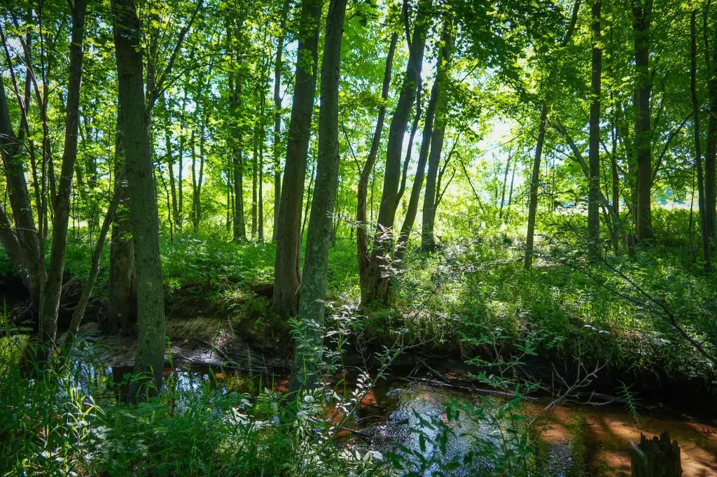 Picture 26