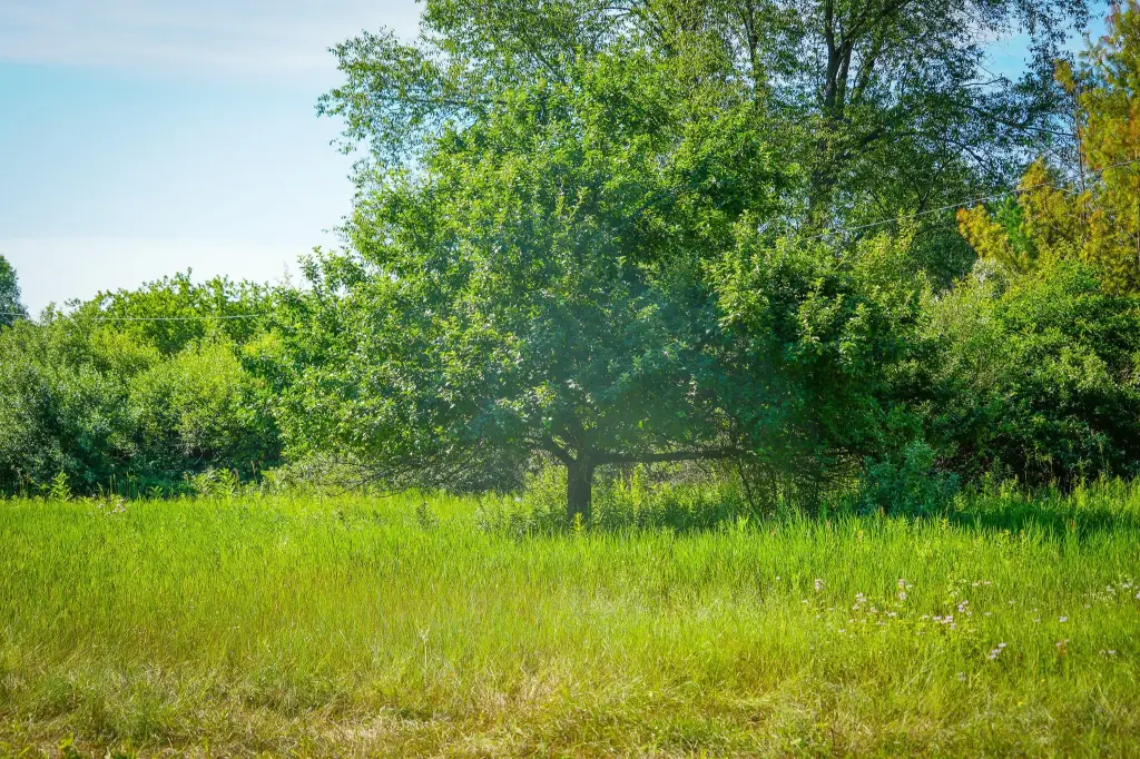 Picture 31