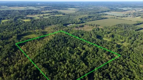 Hunting Land with Food Plots