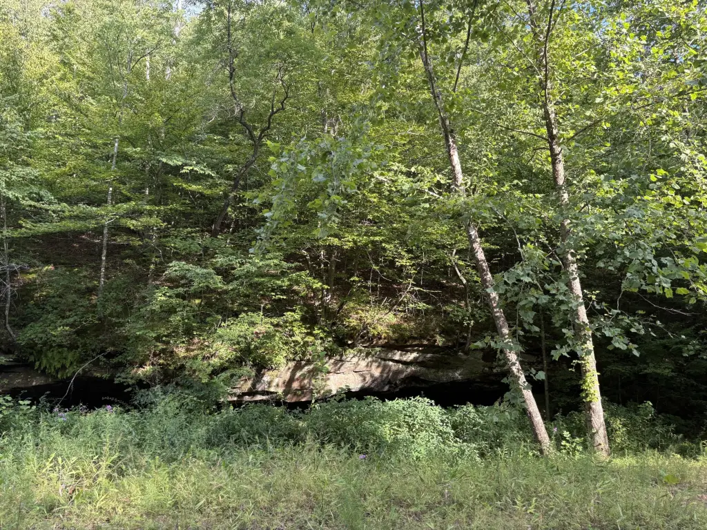 Picture 5