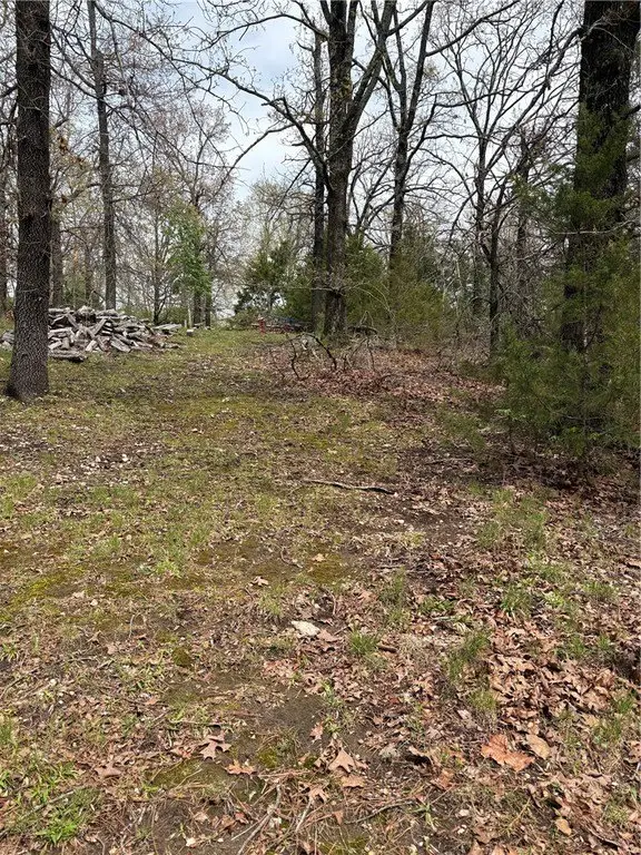 Picture 3