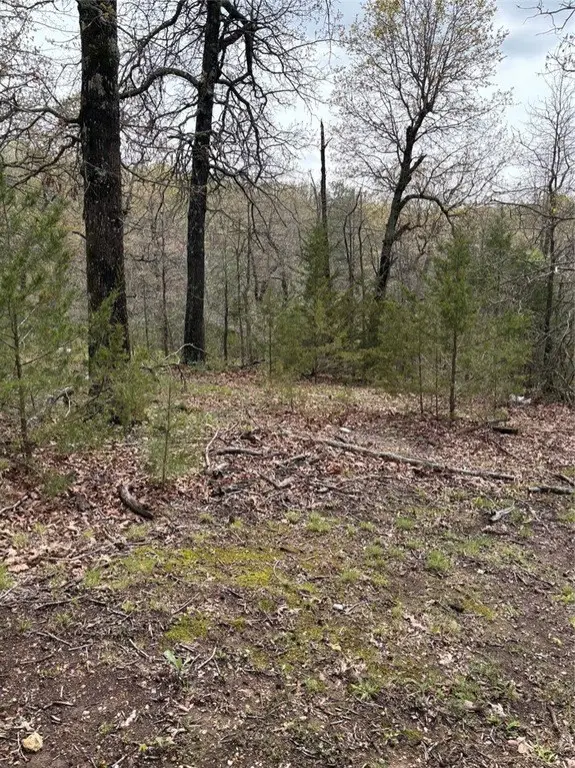 Picture 2