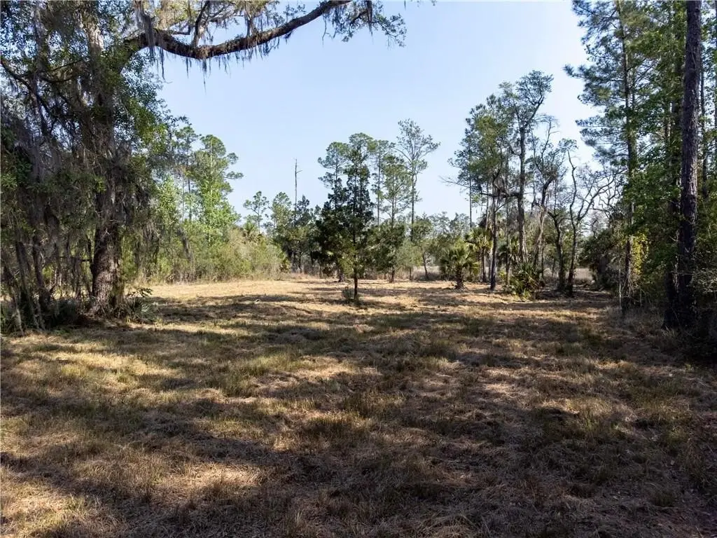 Picture 9