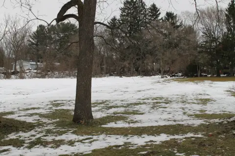 Buildable Lot in Paw Paw