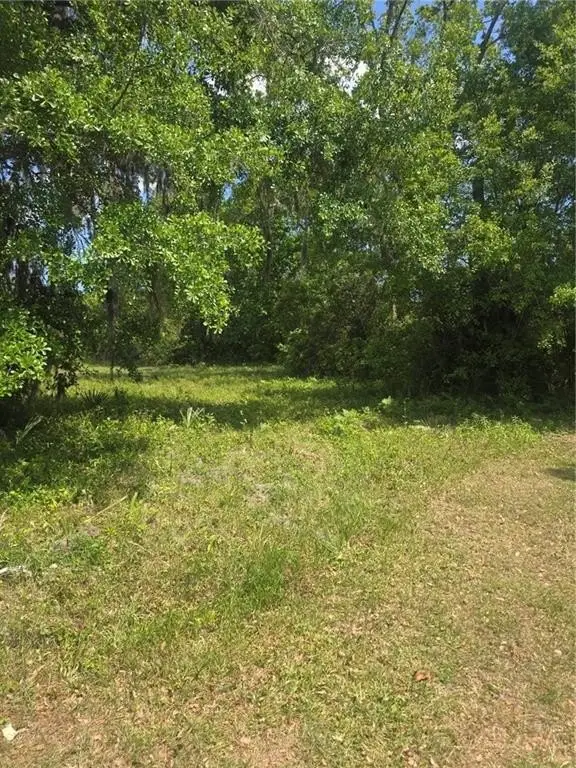 Picture 10