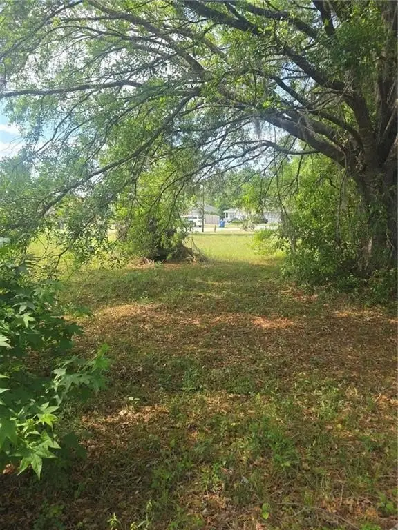 Picture 3