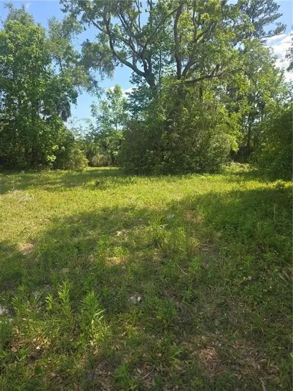 Picture 8