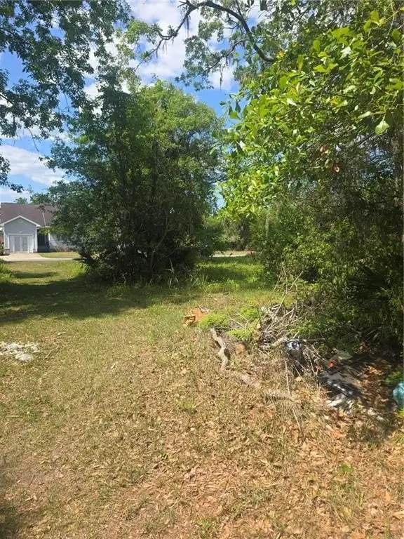 Picture 12