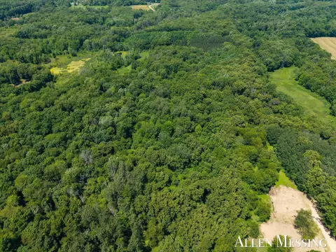 Private Wooded Acreage in Hastings
