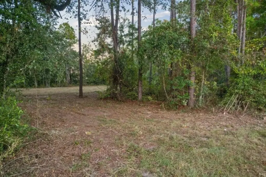 Picture 12