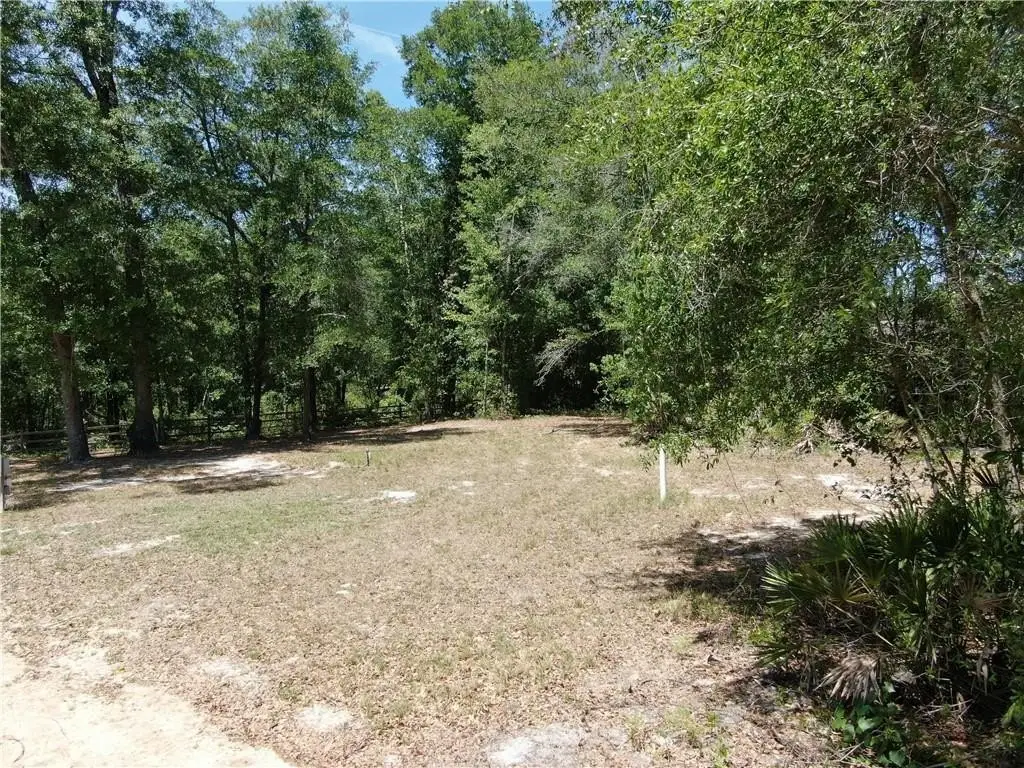 Picture 16