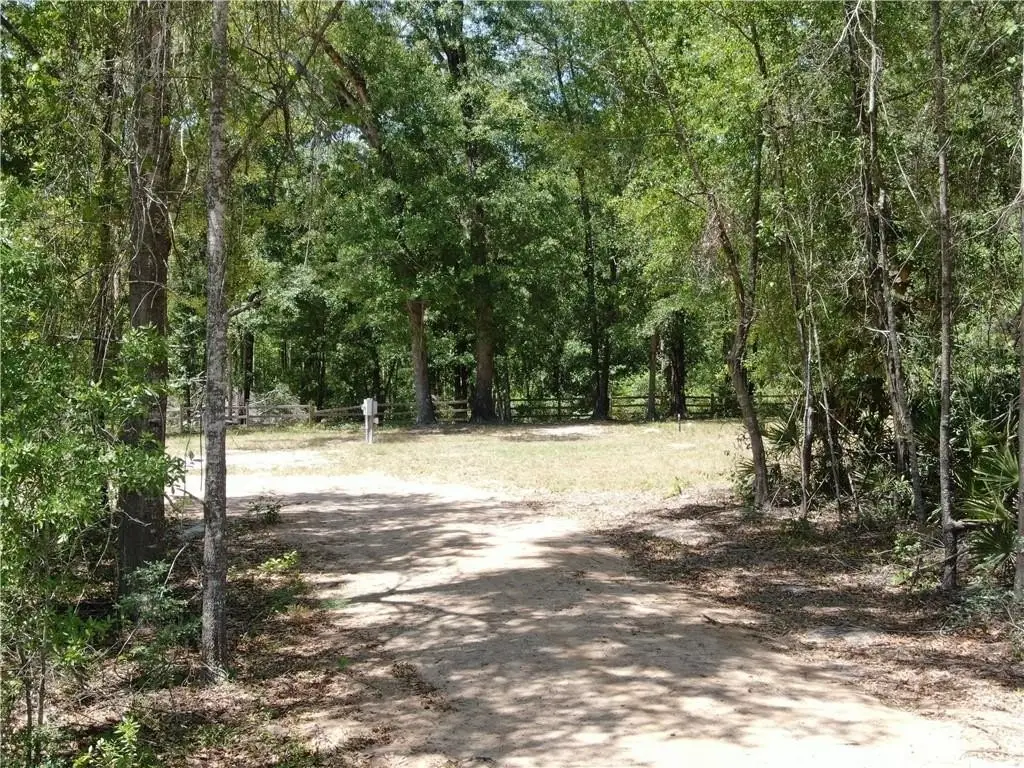 Picture 15