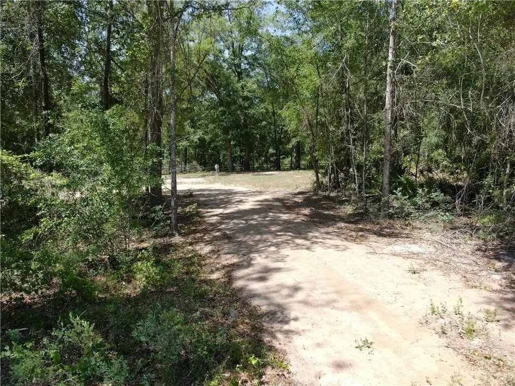 Picture 14