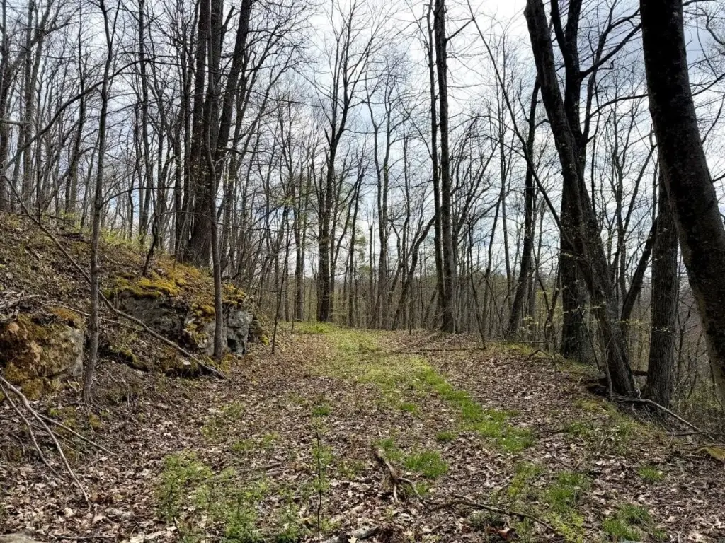Picture 47
