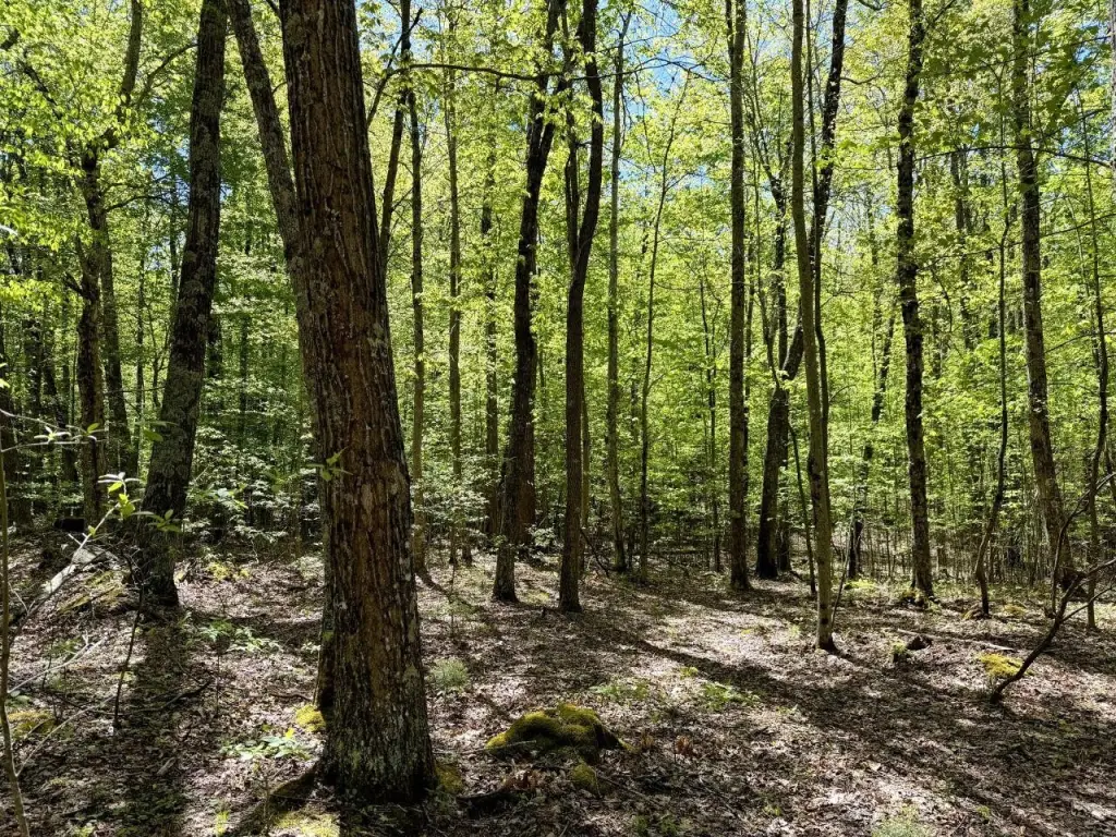 Picture 24