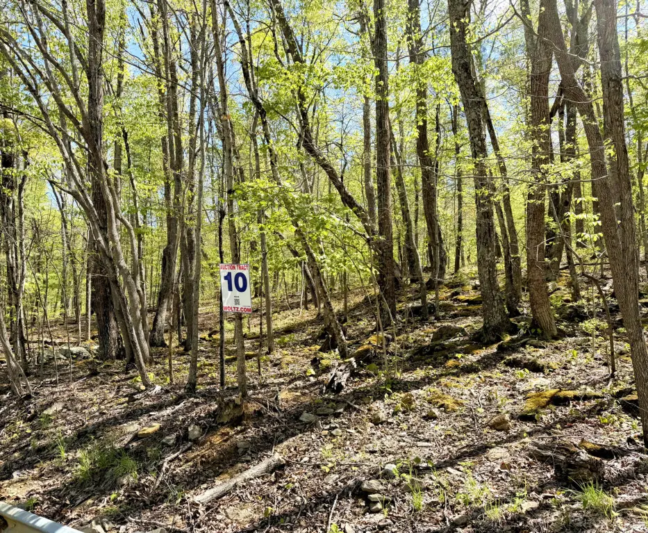 Picture 6