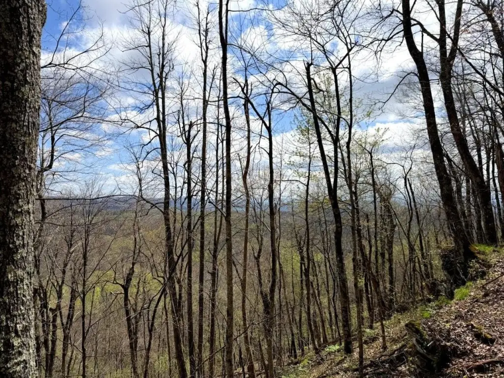 Picture 68