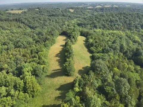 Farm Land in Falmouth, Kentucky