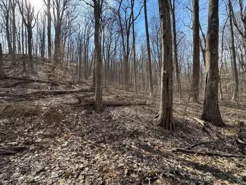 Hillsboro, KY Recreational Hunting Land