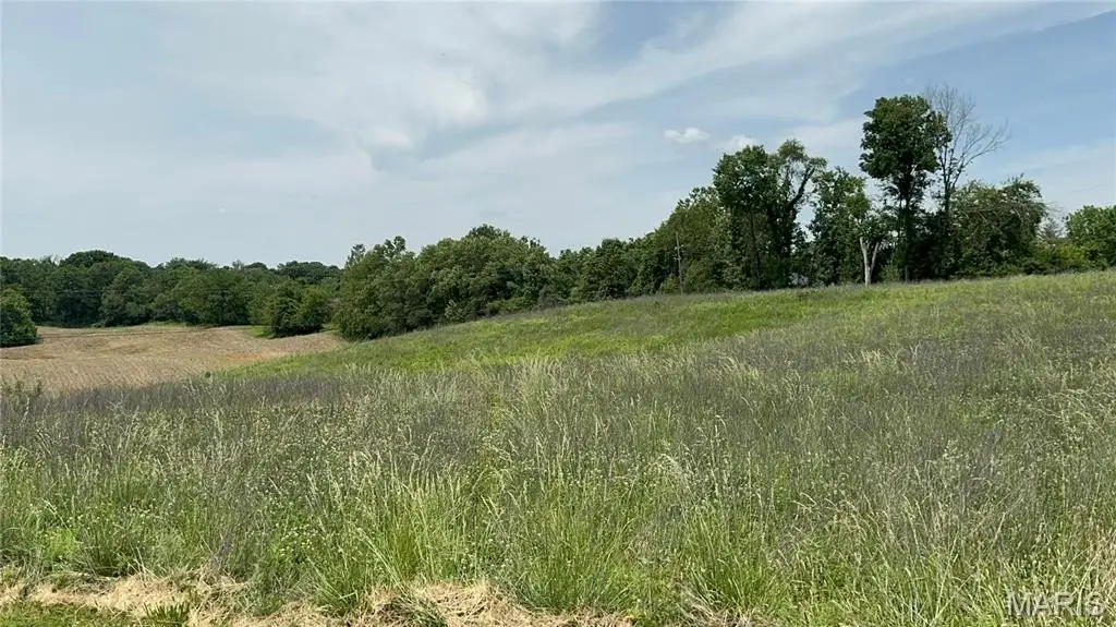 Picture 3