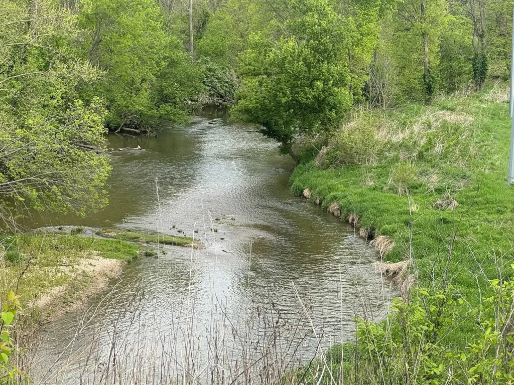 Picture 6