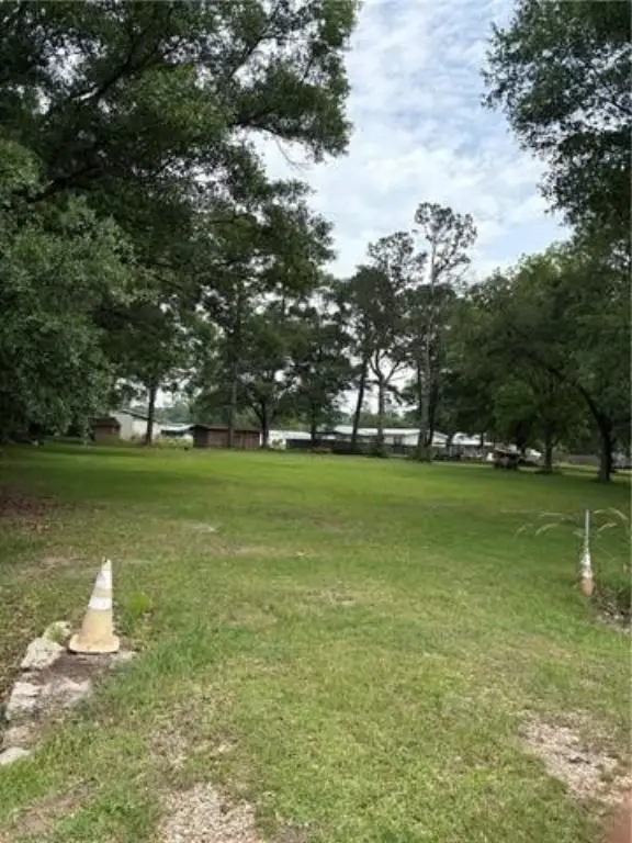 Picture 3