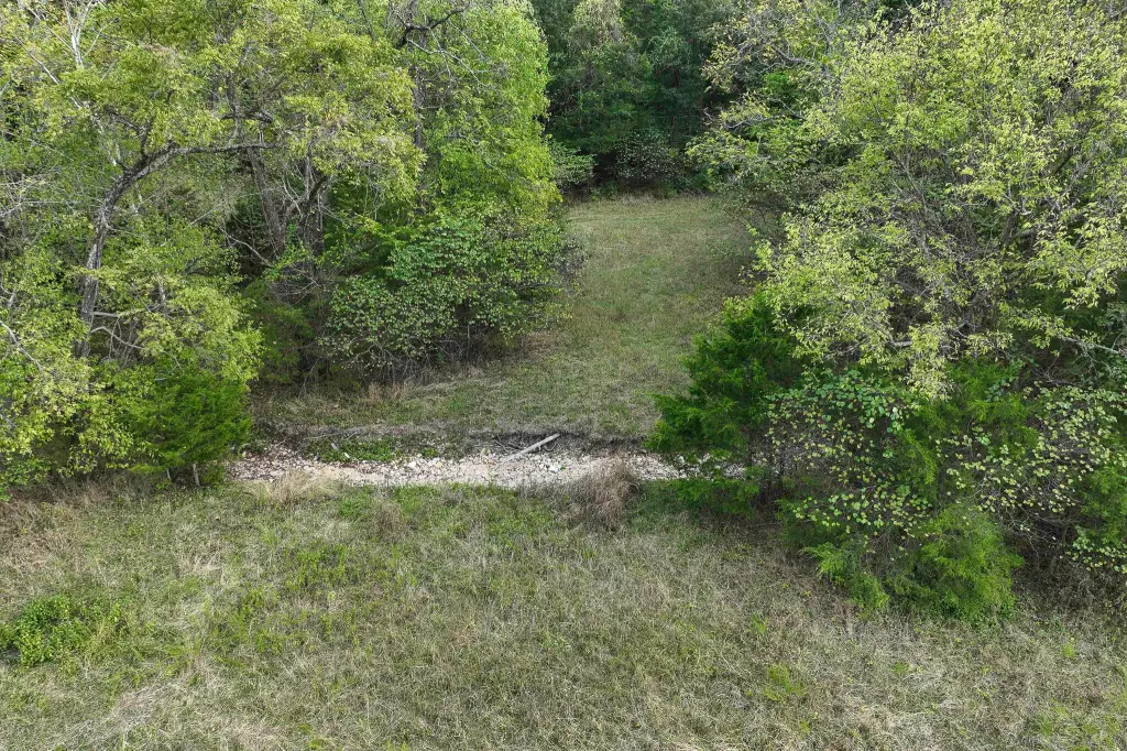 Picture 10