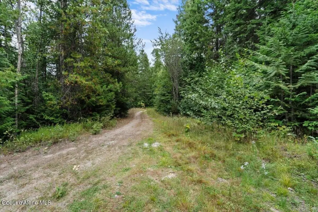 Picture 21