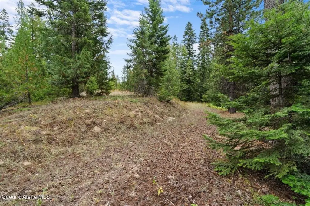 Picture 18