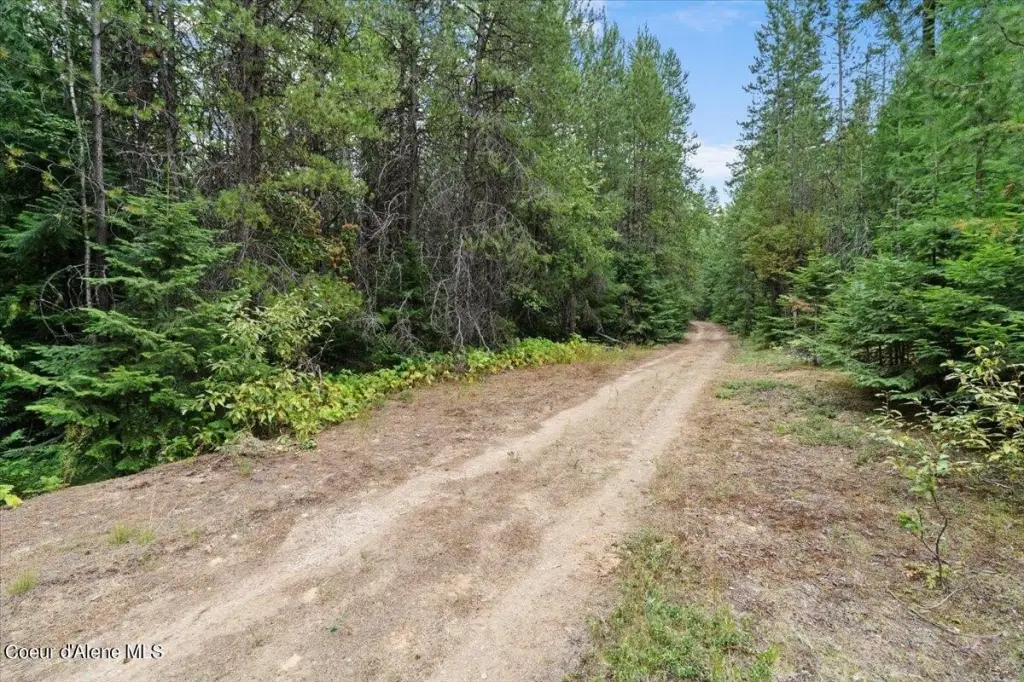Picture 20