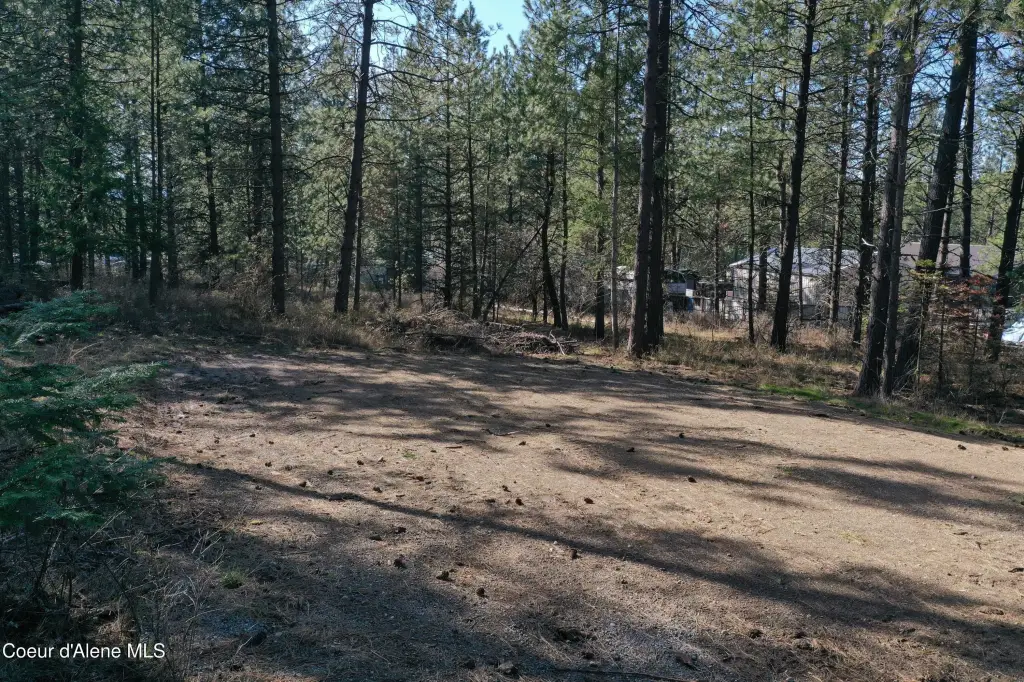 Picture 12