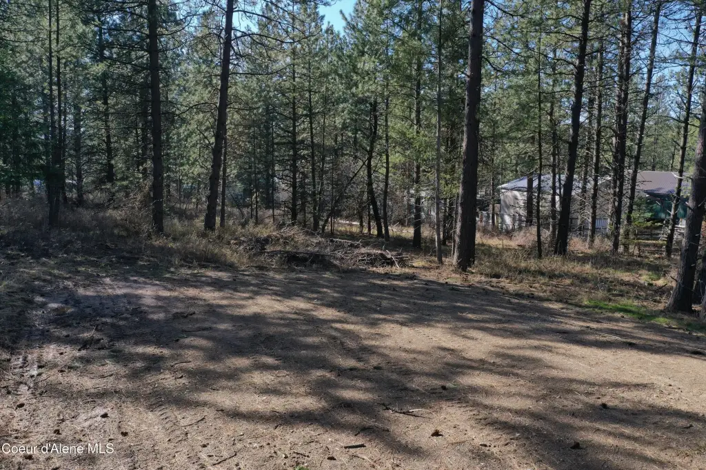 Picture 9