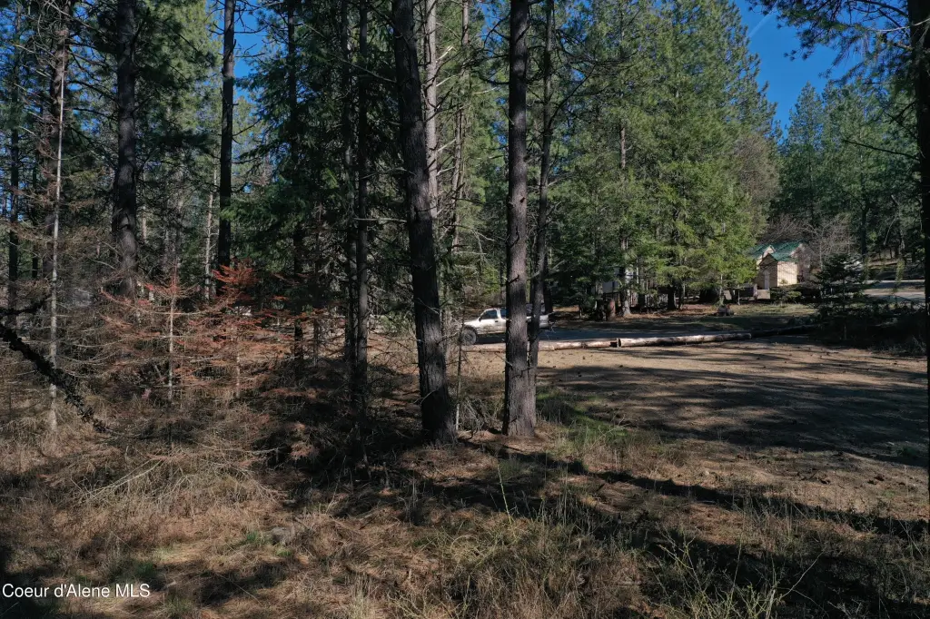 Picture 22