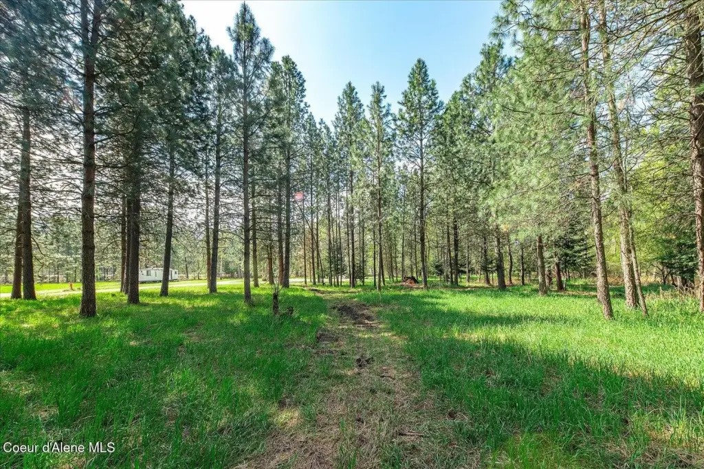 Picture 60
