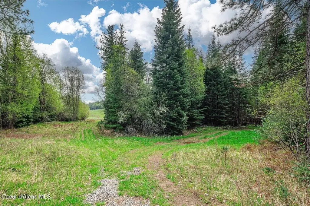 Picture 25