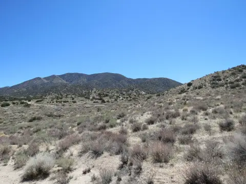 Juniper Hills Land with Views